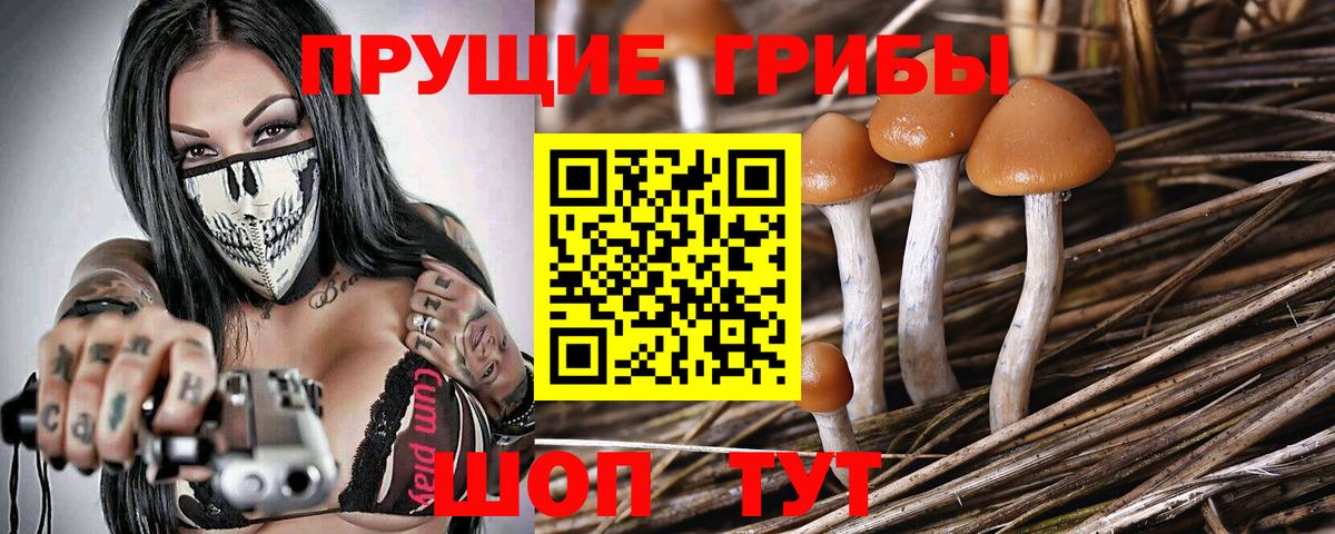 Ухта  Псилоцибиновые грибы GOLDEN TEACHER  Вход с VPN 